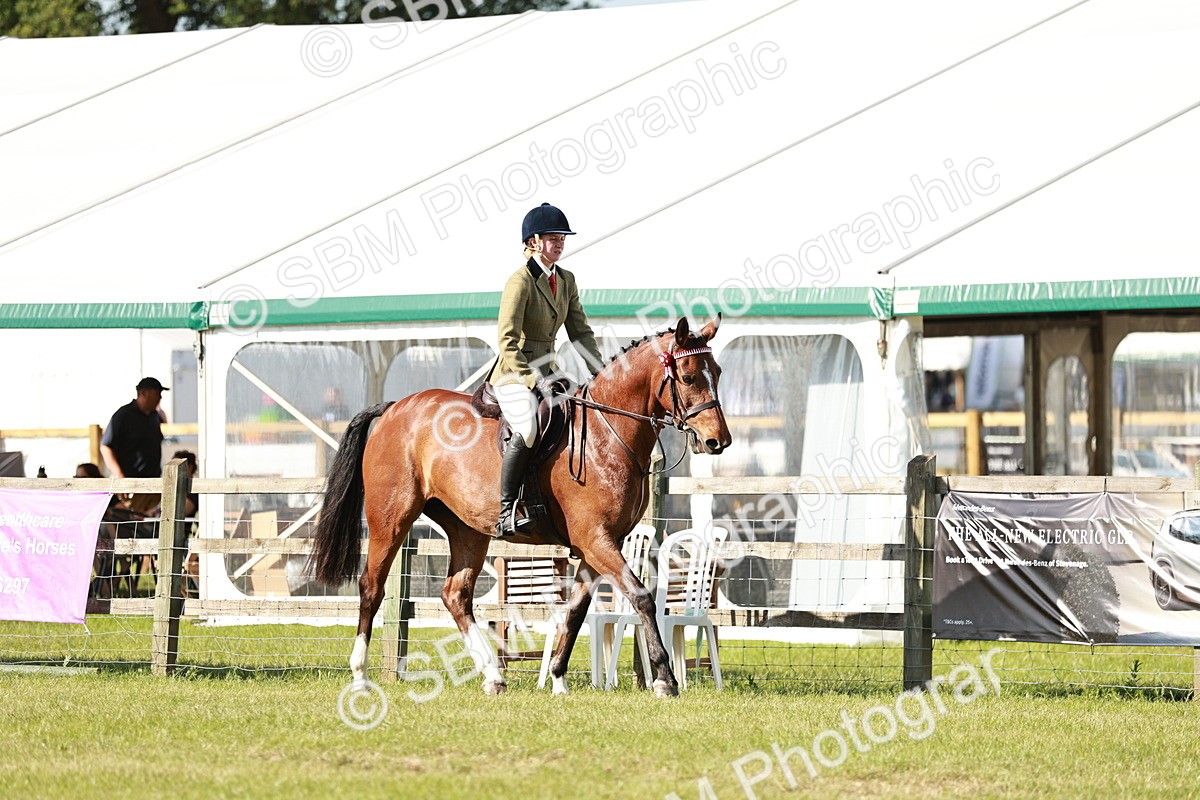 SBM_19216 - Class 115-116 - LIHS BSHA Rising Star Working Hunter & Show Horse