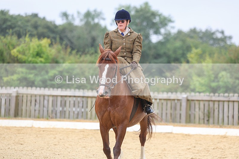 3E7A5471 - Class 2: Intro 4 2024 section B