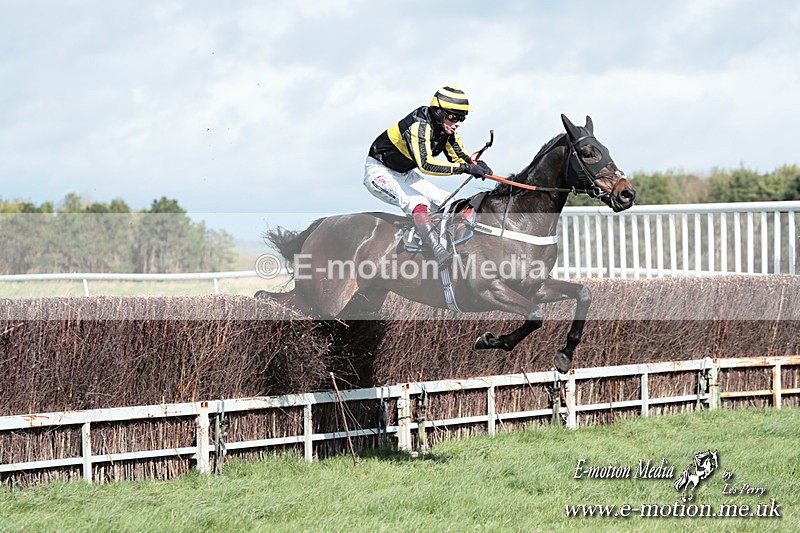 PtP 230324 279 - Tedworth Hunt PtP Larkhill Raccourse 23rd March 2024