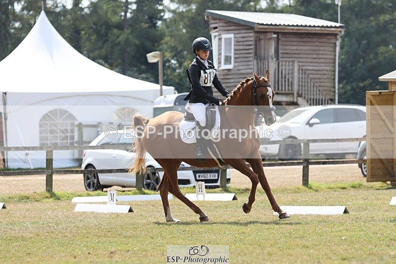 250823A-135739-31419 - Arena D