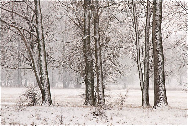 Snow along the River Elbe #4 - Prague to Berlin along the Elbe river