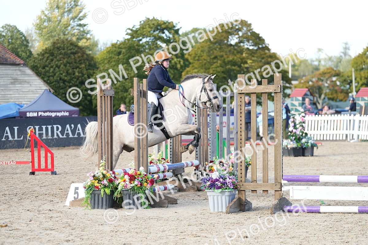 SBM_29149 - J43 - Horse & Hound Open 50cm