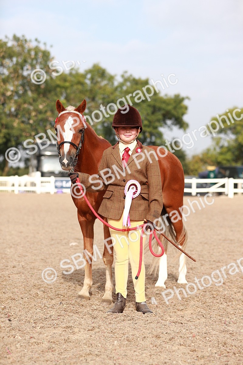 SBM_09946 - Class 203 Young Handler, 10 years and under