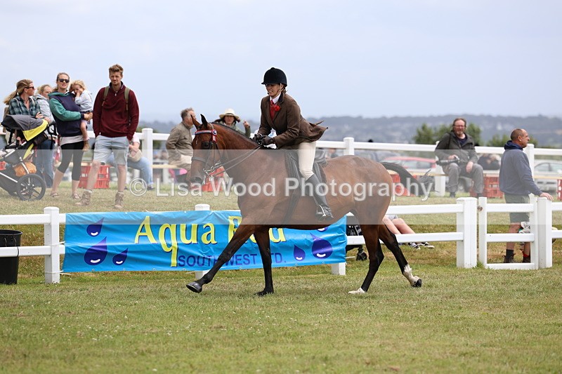 3E7A0986 - Class 8: Open Riding Horse/Hack