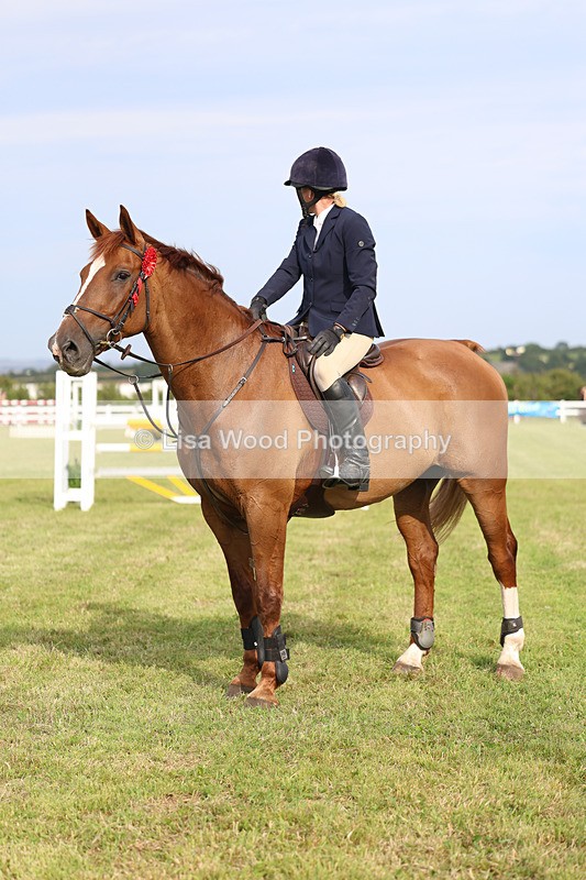 3E7A0881 - Class C: Showjumping Senior Foxhunter