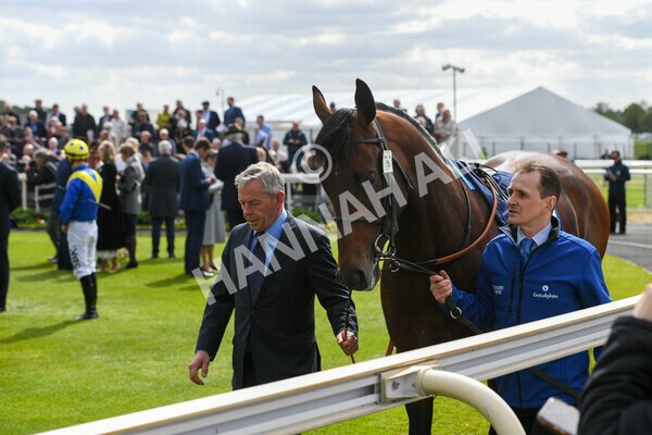 yr12052022r4-11 - Race 4 3.35pm Al Basti Equiworld Dubai Dante Stakes