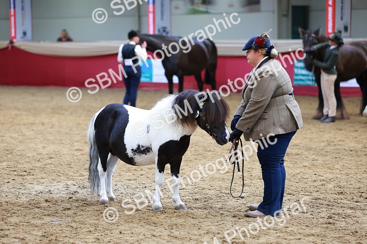 SBM_18683 - Class 903 - Sup Final - IH Pre Vet