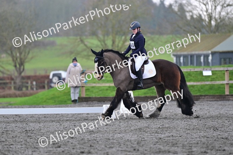 20260125-3798 - Class 12 - Novice