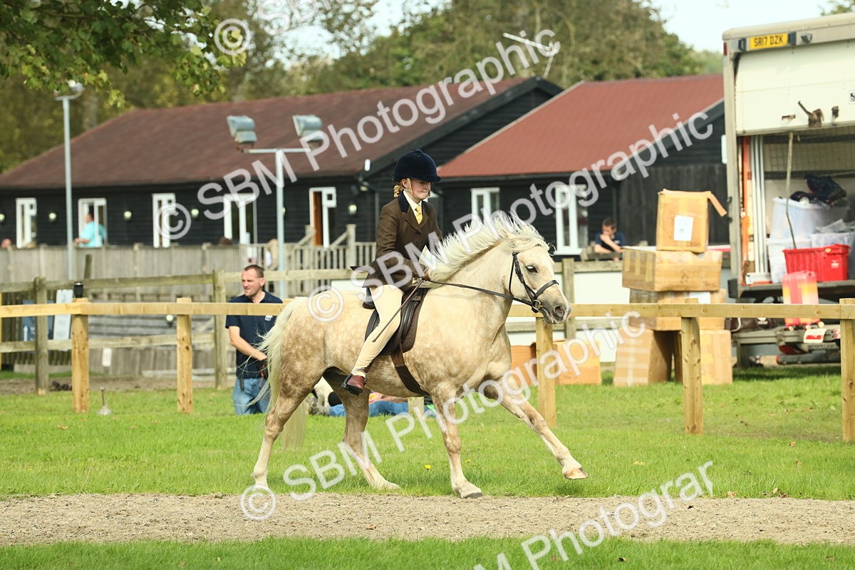 SBM_68835 - S58 - Mini Show Cob Ridden