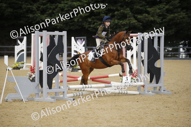 20250622-1581 - 40cm