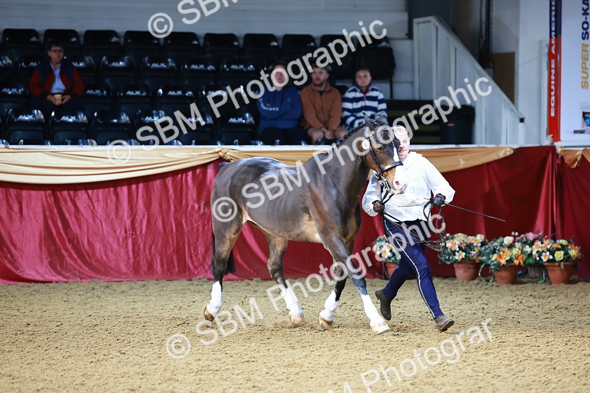 SBM_21736 - Class 901 - Supreme Final - IH  Diamond