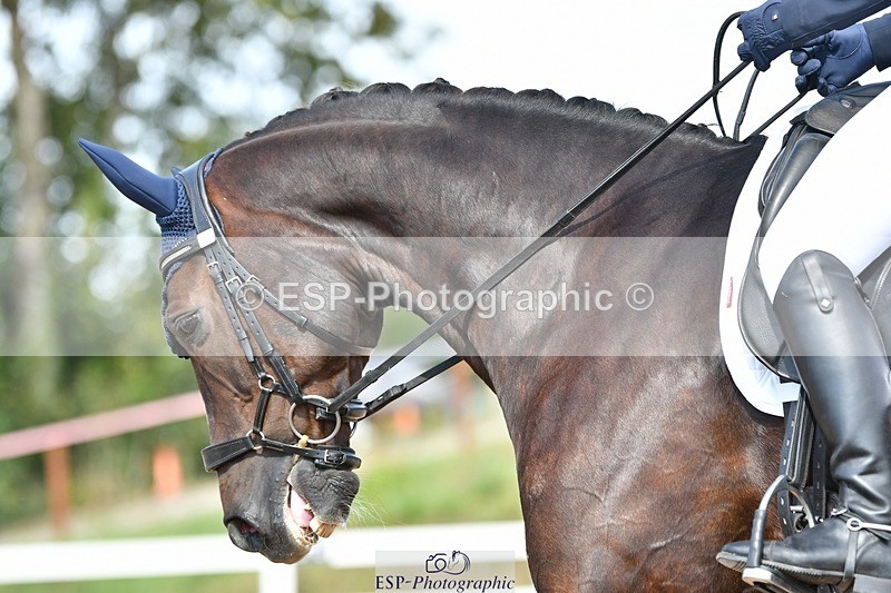 250906-141738-03171 - 120-Tessa.RyleyLittle.Jo