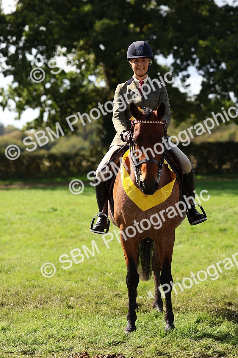 SBM_45316 - S27 - Young Veteran Ridden