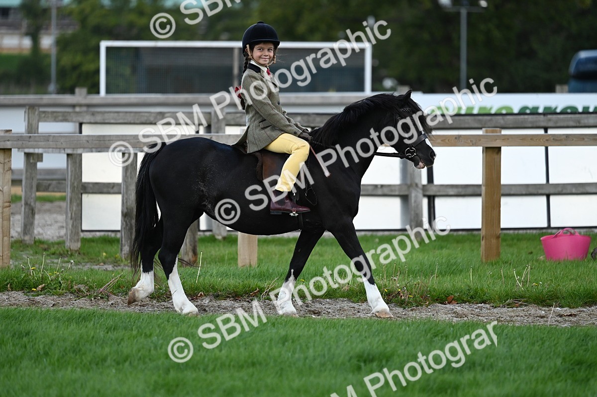 SBM_02550 - S3 - TSR Ridden Pony Showing