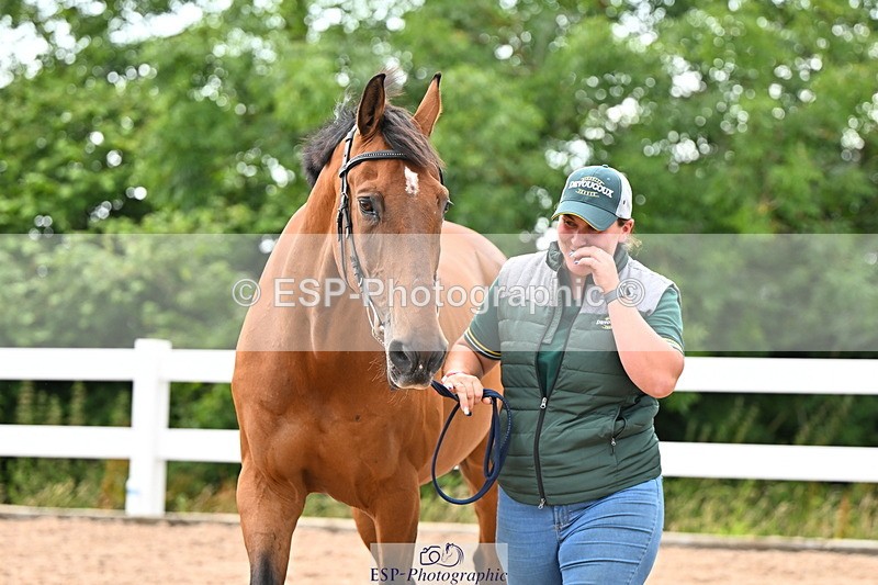 240718A-105326-02002 - Trot Up 2pm to 3pm - This folder is not in time order