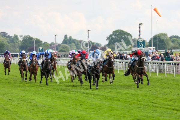 150524-Race 5-Diligent Resdev-1541 - Race 5 4.15pm Conundrum HR Consulting Handicap