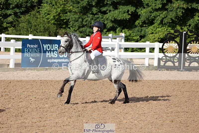 240629A-080017-02359 - Cls 16 British Novice and 80cm Open