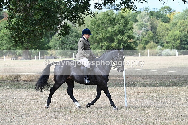 WJ7_6101 - Class 13 Ridden Veterans