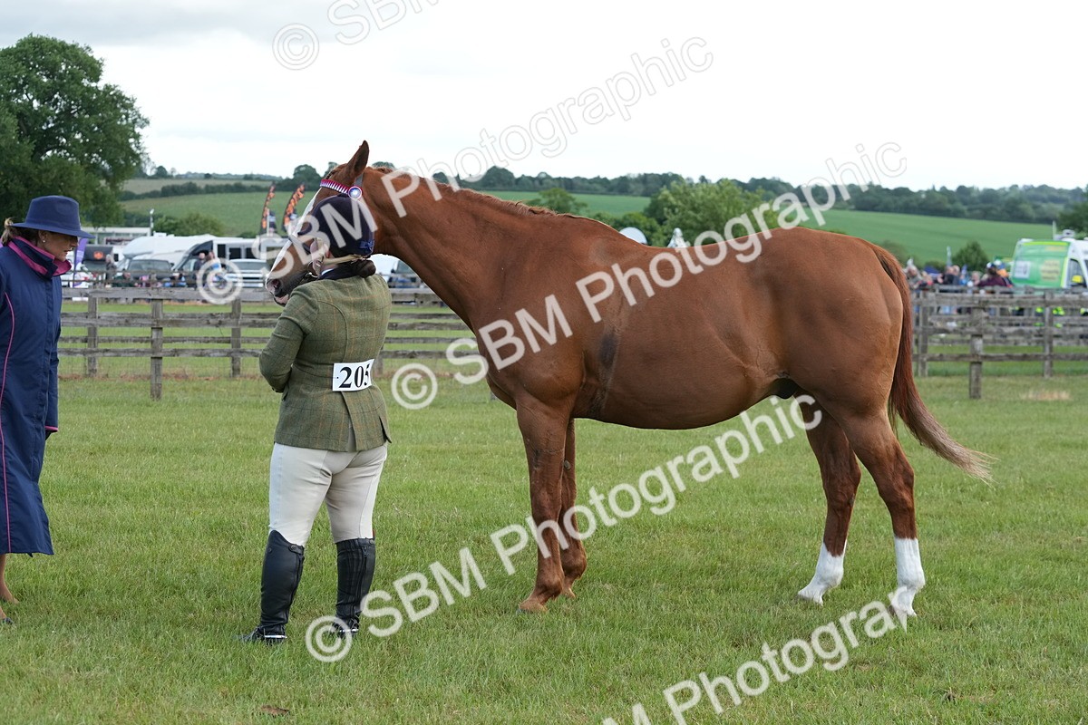 SBM_12955 - Class 99 - RIHS SEIB Working Show Horse
