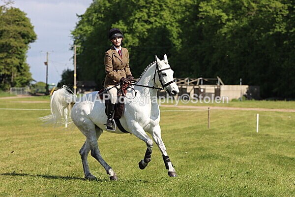 IMG_4816 - Working Hunter