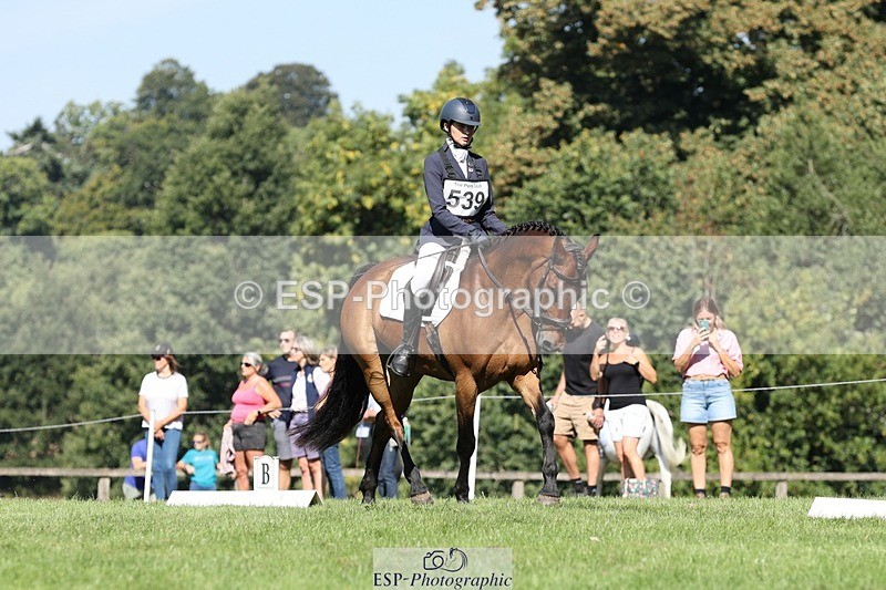 250823A-104944-27800 - Arena D