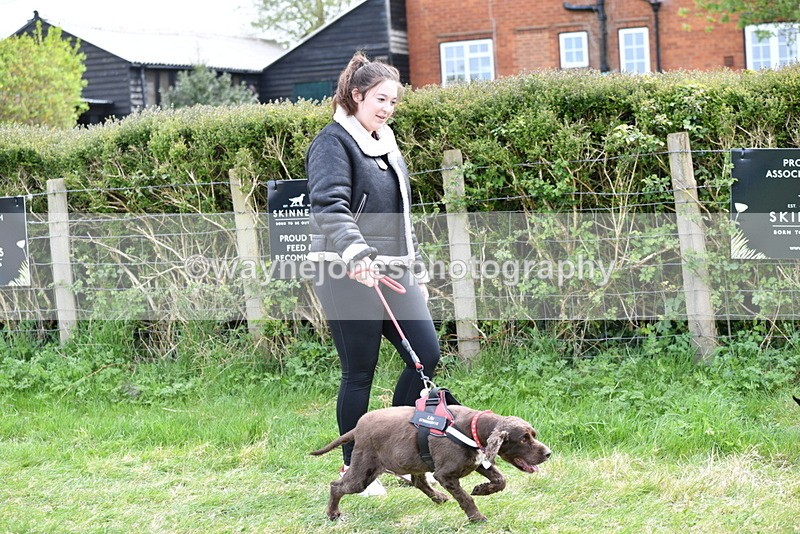 WJ5_9927 - Class 5 Best Veteran / 7 years & over