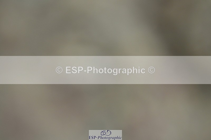 230630A-121243-01809 - Cls 7 Elementary 45