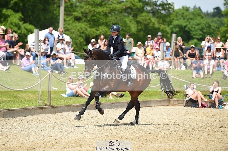 230528-125216-15877 - 357-VIVENDI_HERO-Saffron_Cresswell-SUNTrotUp+SJ