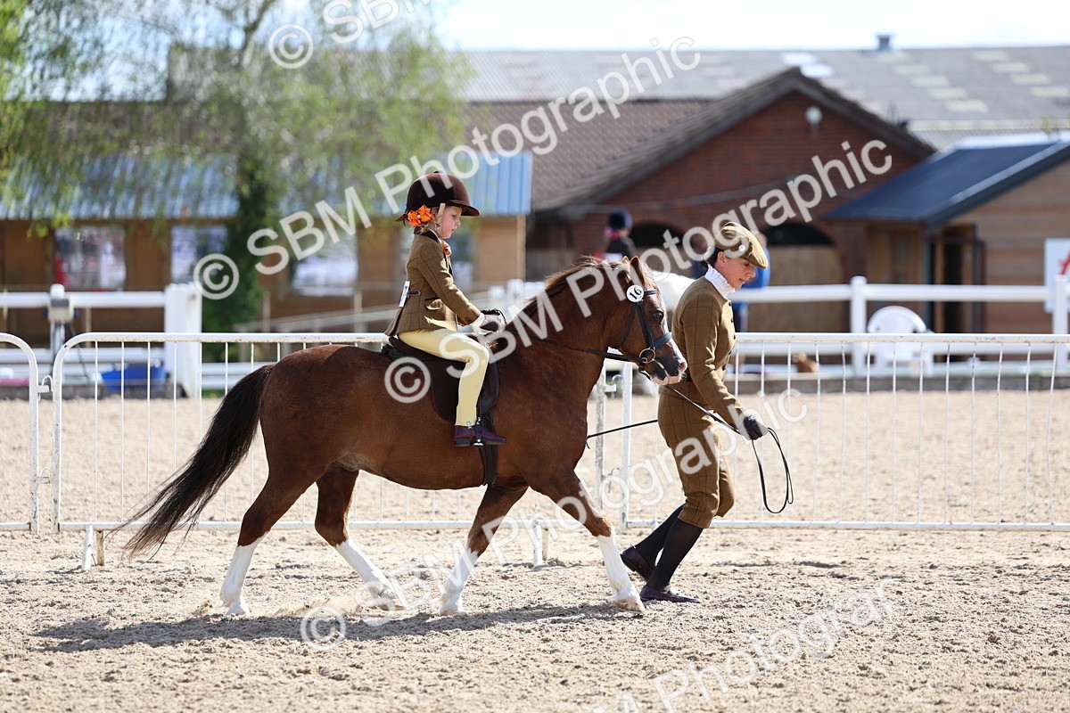SBM_13017 - Class 309 - Lead Rein Pony