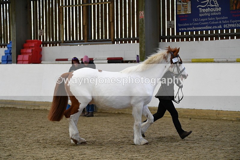 WJ5_5072 - Class 7 In hand coloured / odd coloured