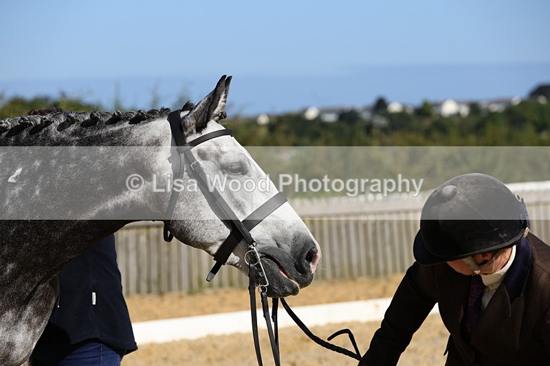 1X9A7682 - Class 8: Small Ridden Hunter