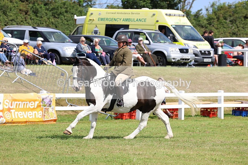 3E7A9743 - Class 5: Rising Star Lightweight/Heavyweight Cobs