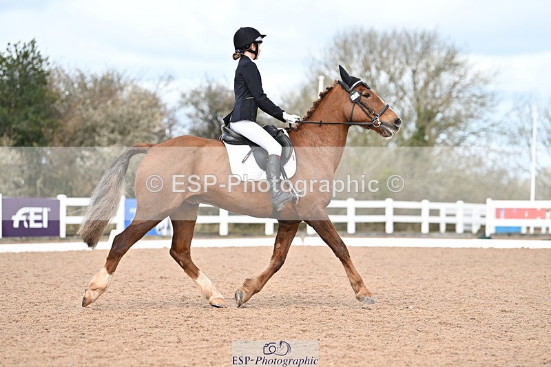 240324A-115154-01311 - Prelim 13