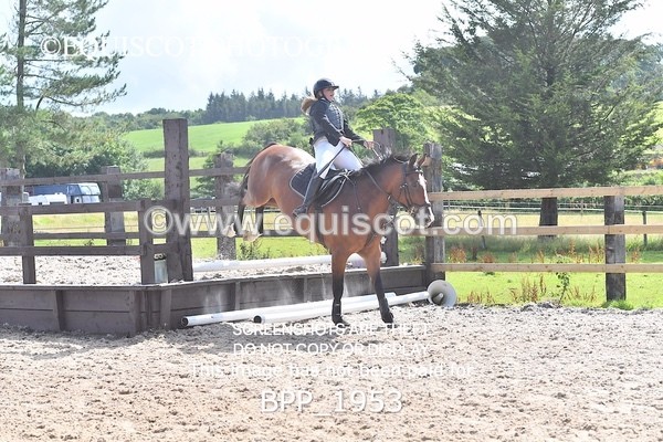 BPP_1953 - DERBY CLASS 5 - 60CM