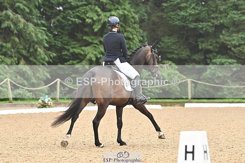 240811-094633-04598 - 147-Tegan.Ball-Woodcroft.Magic.Jewel