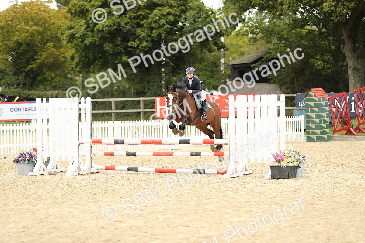SBM_63090 - Supreme championship 75cm 80cm