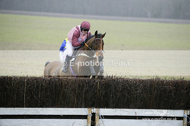 PtP 200222 717 - Countryside Alliance PtP Badbury Rings 20/02/22