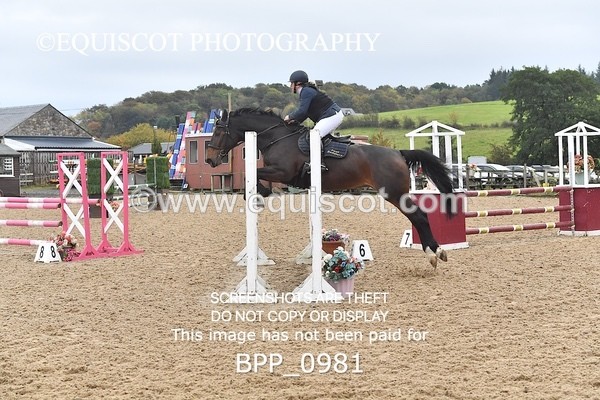 BPP_0981 - CLASS 10 SUN Senior BritiNovice/ 90cm Open