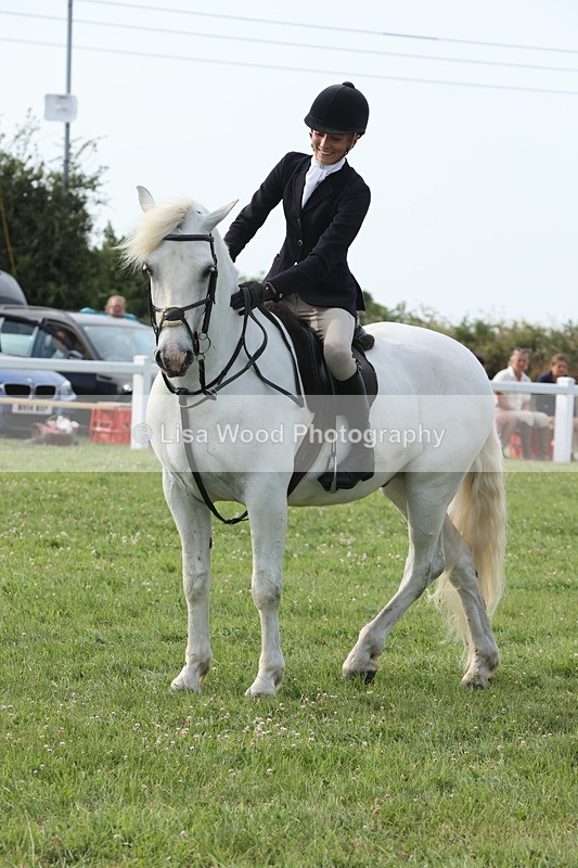 JPP_4799 - Working Hunter Championship
