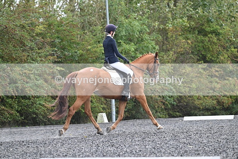 WJ7_6776 - Time 14:49 to 15:14