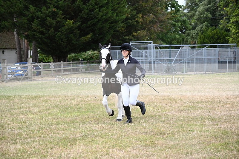 WJ6_4254 - Class 10 Coloured In-hand