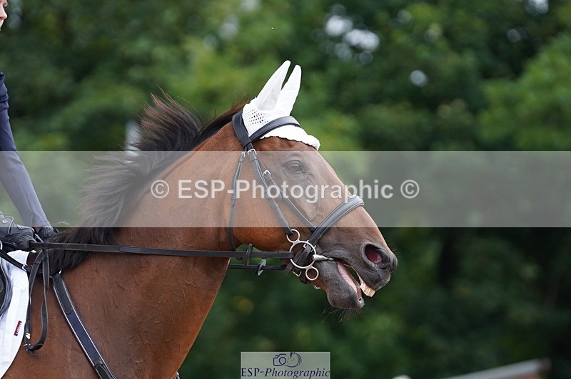 240809A-094626-00326 - Dressage Competition