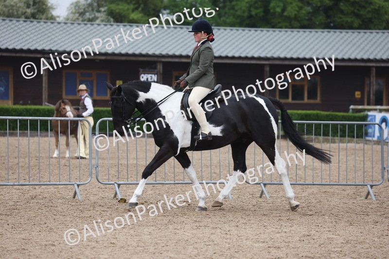 20260504-1032 - Class 14 - Cob and Hunter