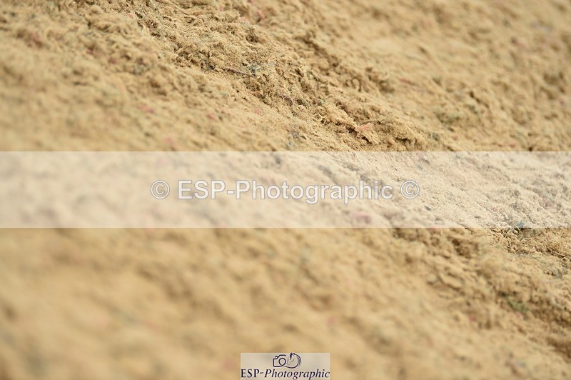 230720A-151118-03451 - Cls 17, 1 Star Silver 1.20m