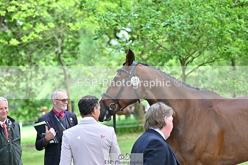 250521A-151053-00321 - B-303-Alexander.Bragg-SHANNONDALE.ALDO