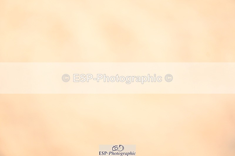 240323A-101844-01329 - DR Prelim 2