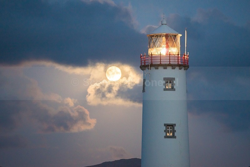 MF1_9013 - Fanad Lighthouse
