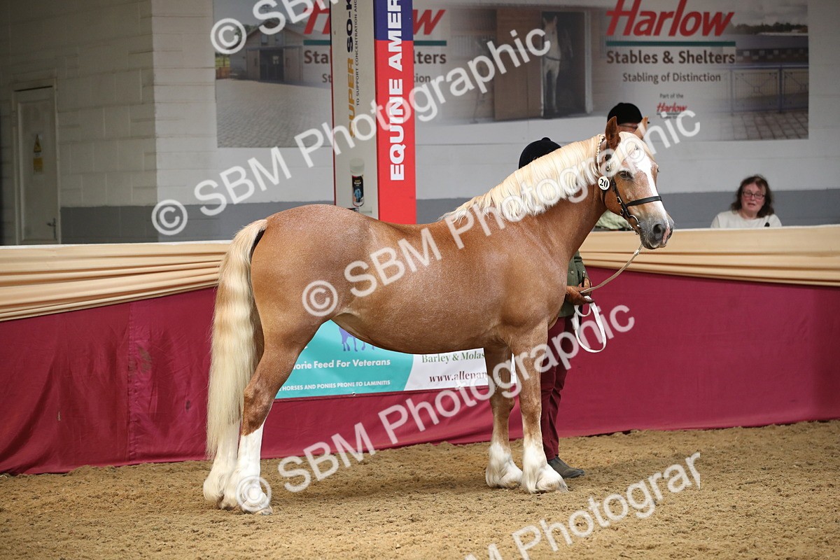 SBM_05305 - Class 8R - Regional IH Veteran