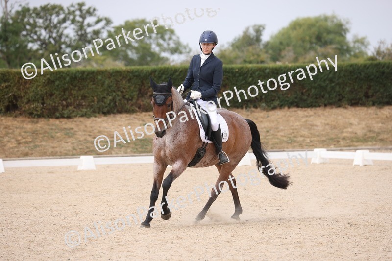 20260816-0893 - Class 3 - Novice 4