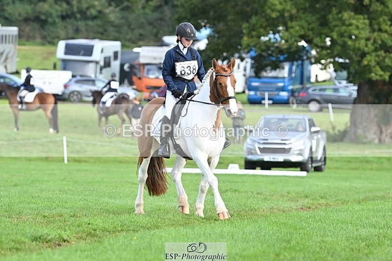 231020-102517-07612 - 638-I.FOUND.NEMO-Jacky.Jones-DR